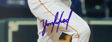 Yordan Alvarez Autographed 8x10 Photo image 1