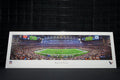 Houston Texans NRG Stadium Unframed Panoramic