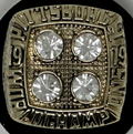 Terry Bradshaw Replica Super Bowl XIV Championship Ring image 0