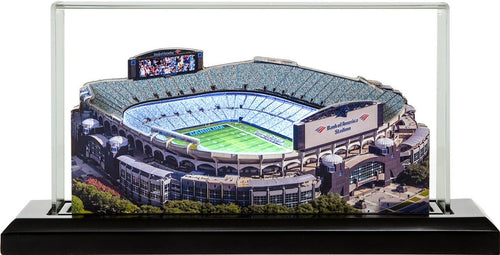 Carolina Panthers - Bank of America Stadium image 0