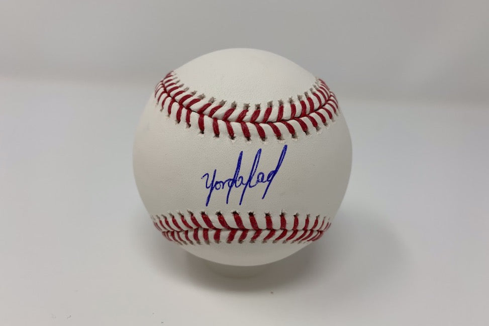 Yordan Alvarez Autographed Baseball image 0