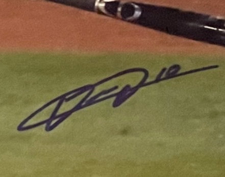 Yuli Gurriel Autographed 16x20 Photo image 1